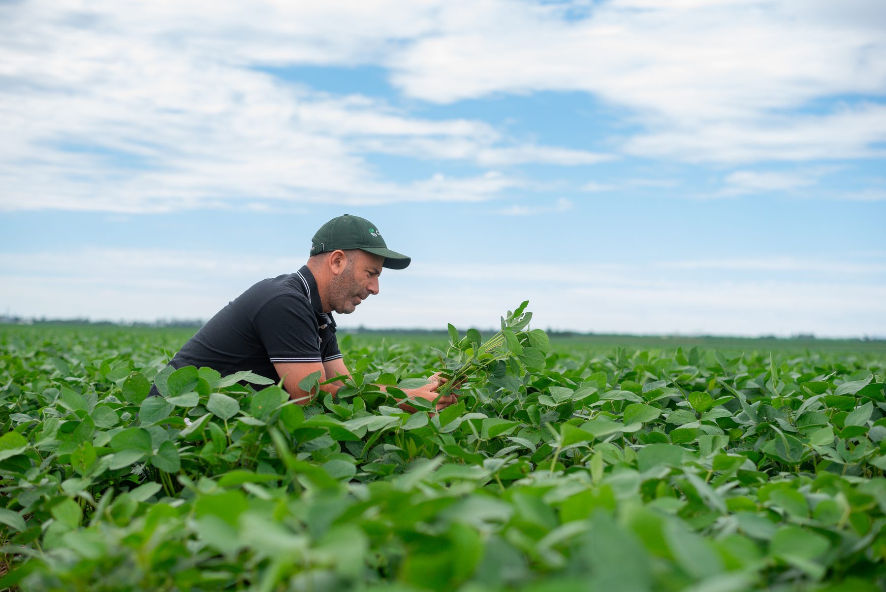 Asesor CAGLE revisando un cultivo